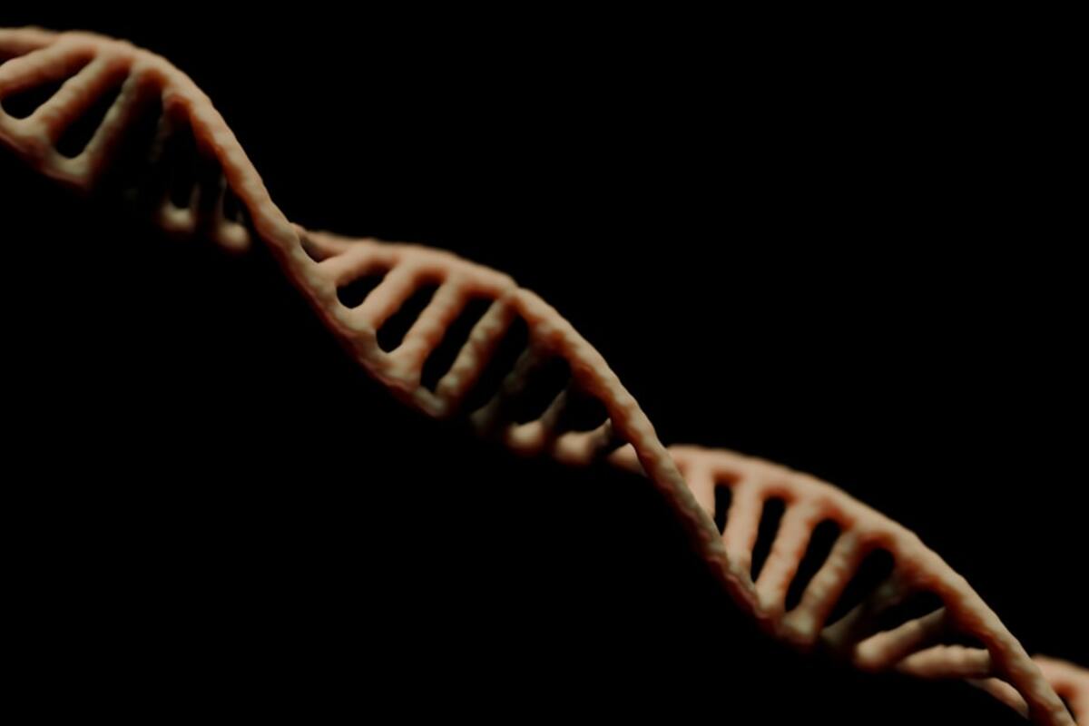 Harnessing the Power of CRISPR/Cas9: The Future of Genetic Engineering