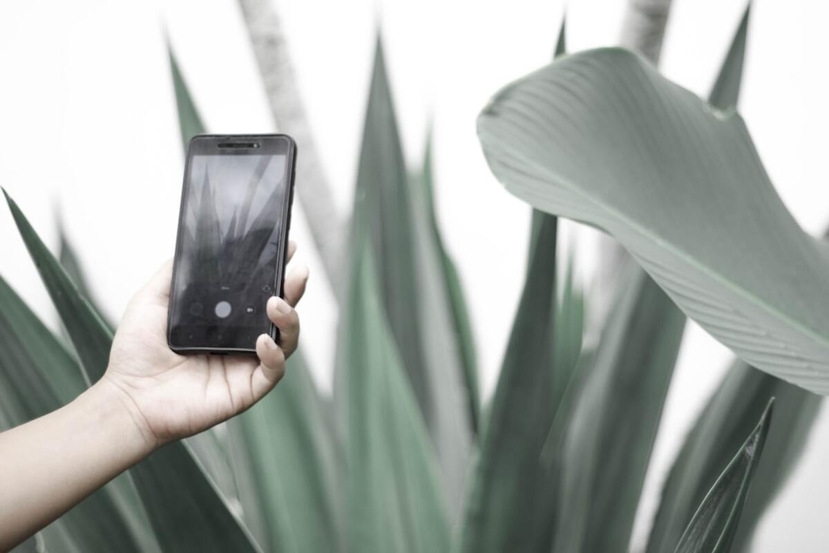 The Silent Epidemic: Understanding the Psychological Impact of Digital Detox