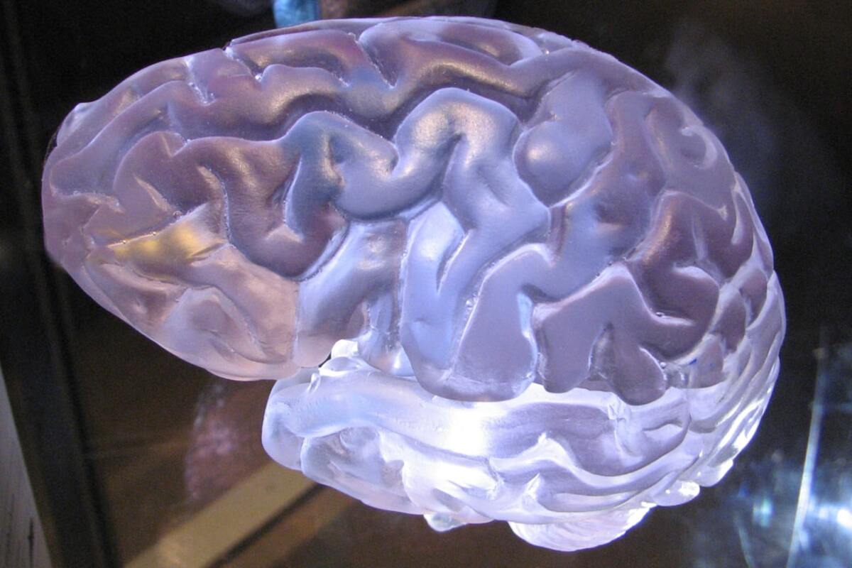 A brain interacting with educational elements symbolizing the fusion of neuroscience and learning.