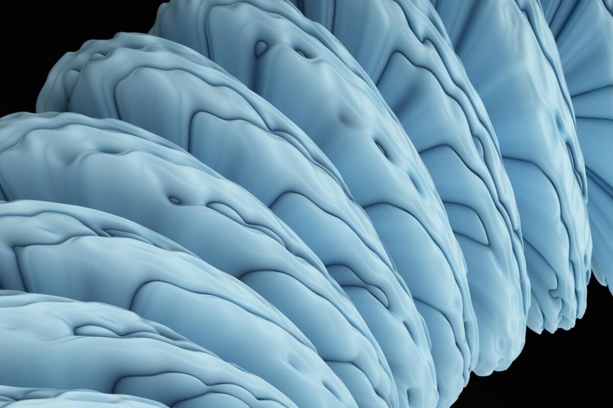 The Mysteries of Hyperthymesia: Unraveling the Secrets of Highly Superior Autobiographical Memory