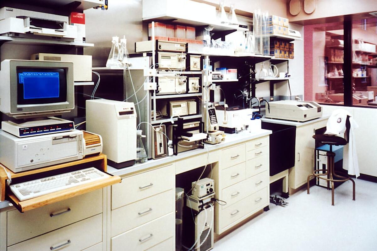 Visual representation of lab-grown organoids used in cutting-edge biomedical research.